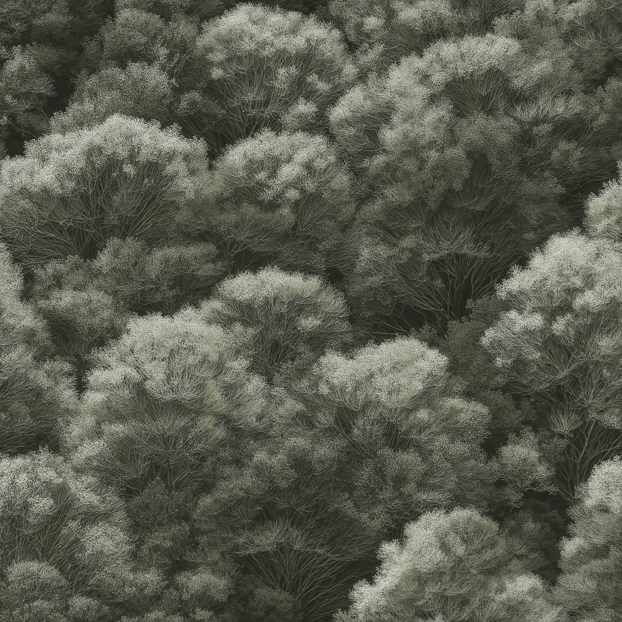 Image of 